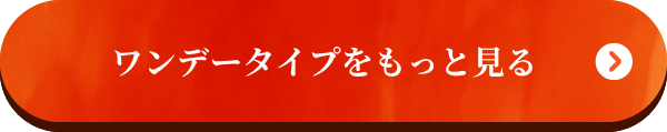 ワンデータイプをもっと見る