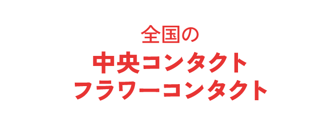 全国の中央コンタクト・フラワーコンタクト